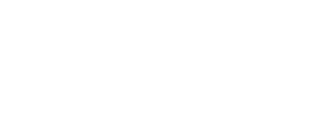 tavi_patt1